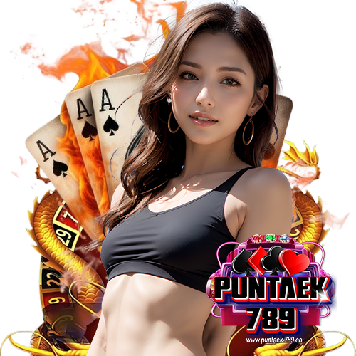 puntaek789 ลิขสิทธื์แท้